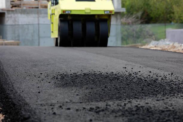 Best Custom Driveway Pavers  in Midway South, TX